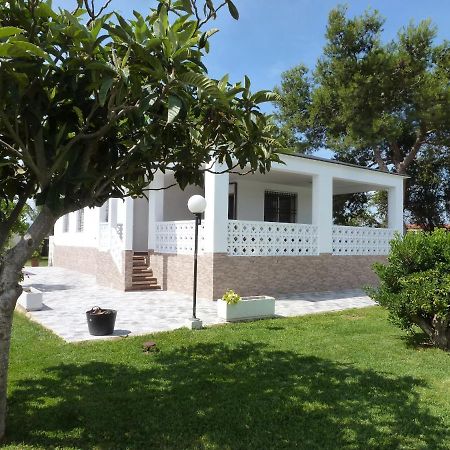 Chalet Verde Tavernes de Valldigna Exterior foto